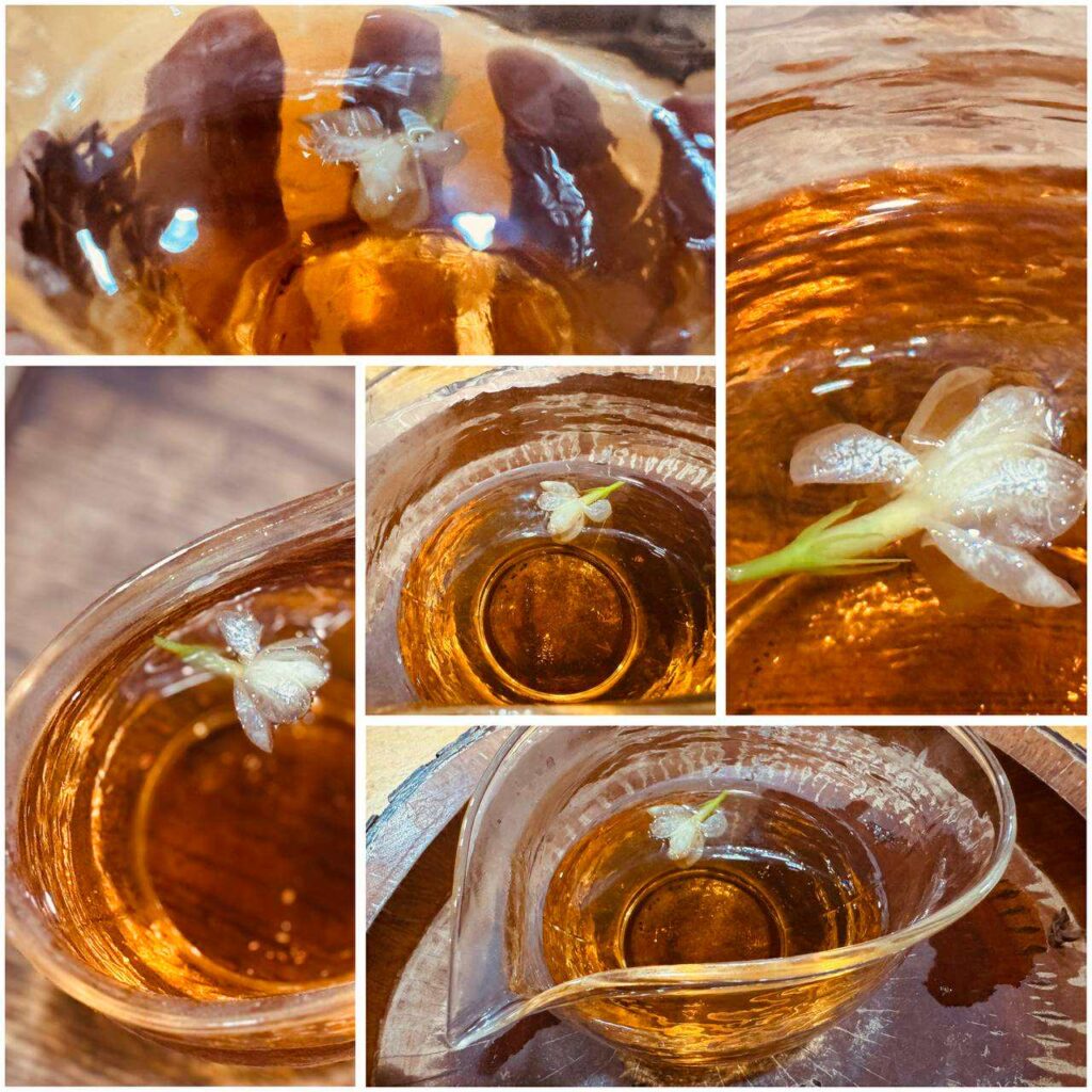 549196264 1209052517909696 3761592907001905518 n