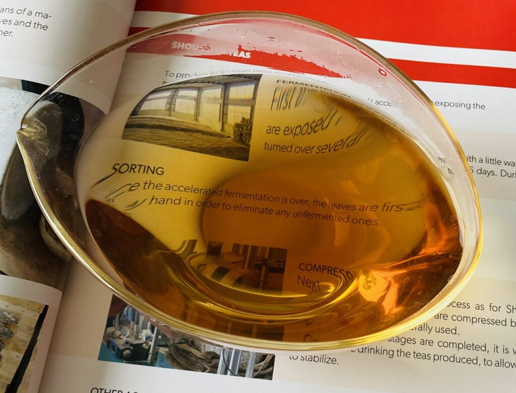 Phát triển sản phẩm, vùng nguyên liệu cho Trà đặc sản Sơn la 8apr26 11