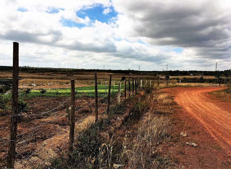 Quan trắc thời tiết tiểu khí hậu (micro-climate) weather 5