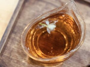 548279879 1209052677909680 7222981491142124167 n