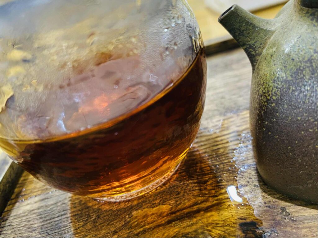 558204385 1218691690279112 3828285315655644085 n