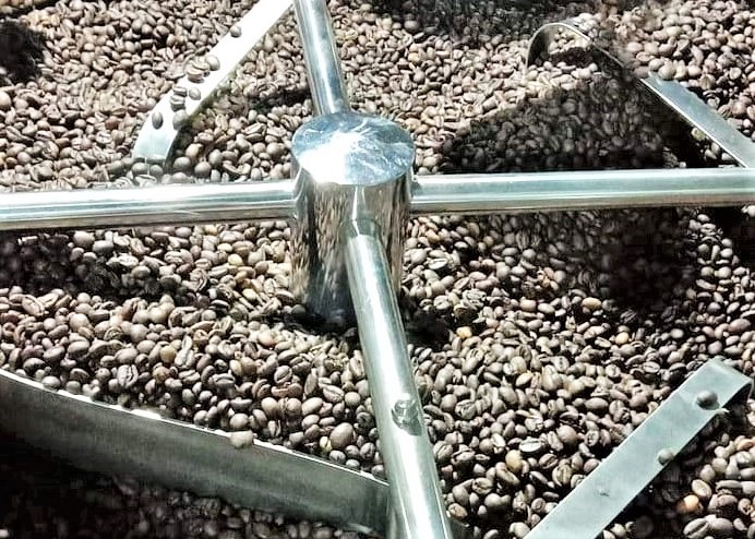 Thử nghiệm canh tác sinh thái cà phê Robusta cafe rang