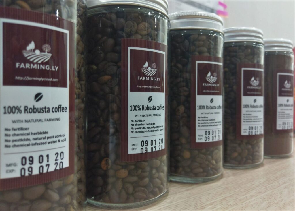 Thử nghiệm canh tác sinh thái cà phê Robusta cafe sp